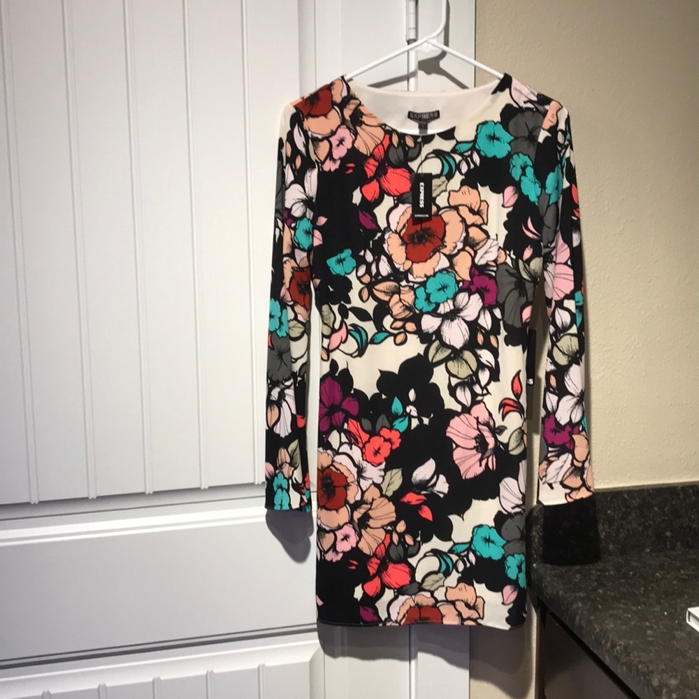 NWT Express dress